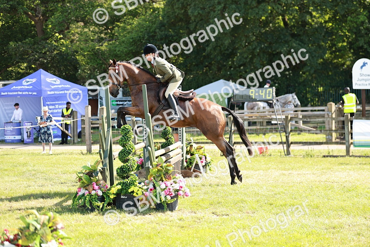 SBM_19149 - Class 115-116 - LIHS BSHA Rising Star Working Hunter & Show Horse