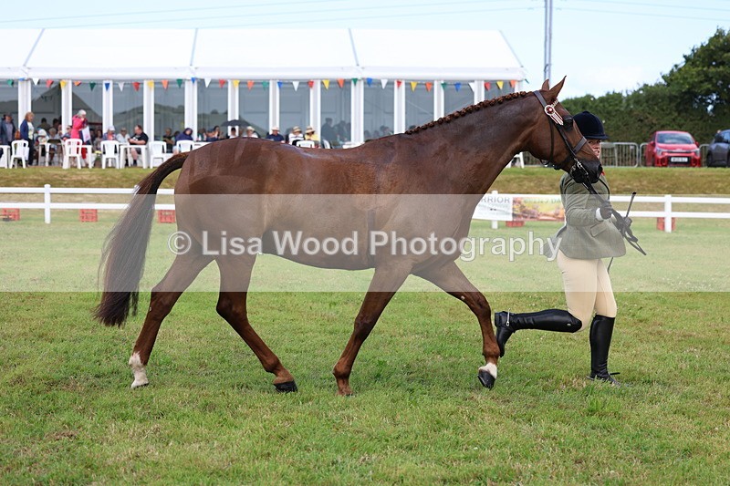 3E7A1099 - Class 8: Open Riding Horse/Hack