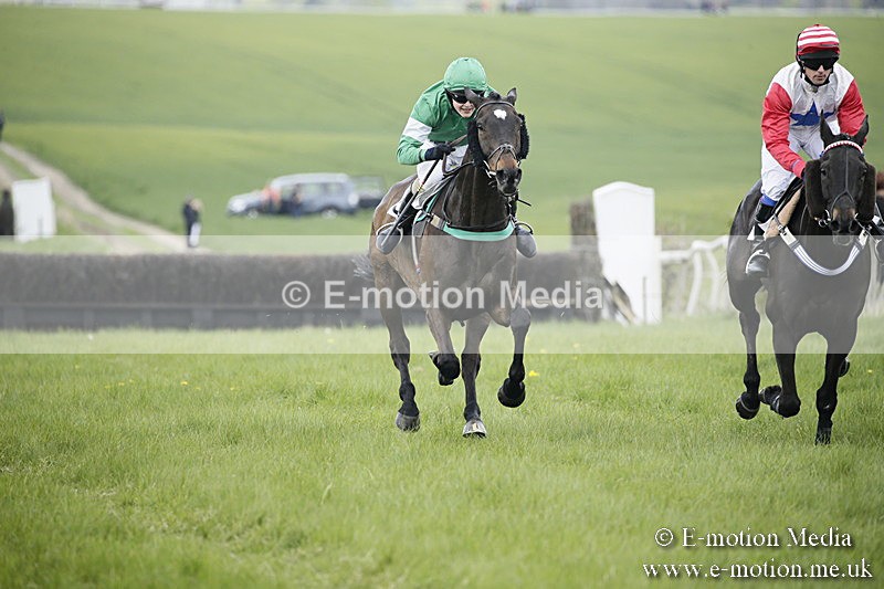 PtP 170417 26 - Old Berks Point-to-Point Lockinge 17/04/17