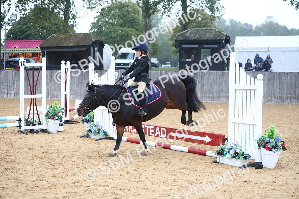 SBM_71805 - J4 - Mini Tour Junior Pony 45cm Championship