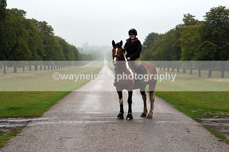 TT3_8364 - Time at Crossing 10:16 to 11:38