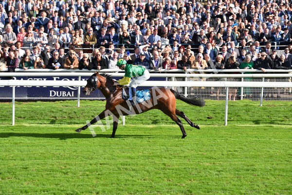 yr08102022r1-39 - Race 1 1.30pm The Coral Play 'Racing-Super-Series' for Free Nursery Handicap