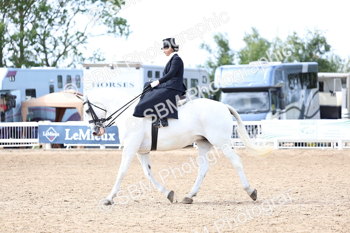 SBM_03235 - Class 22 - SSA Equitation (any age)