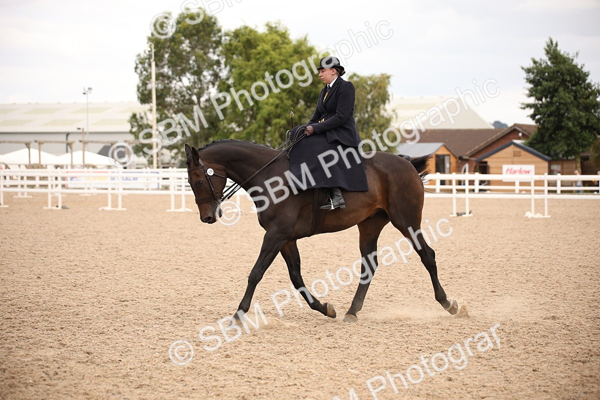 SBM_05440 - Class 22 SSA Equitation