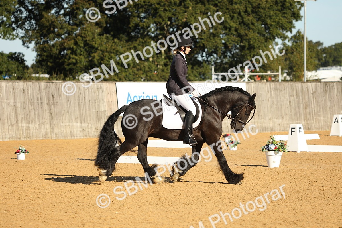 SBM_16416 - D10 - Small Tour Championship - Prelim 2