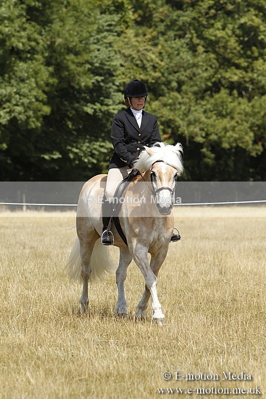 _BS_0814 - BVRC Show 2018 Ring 1