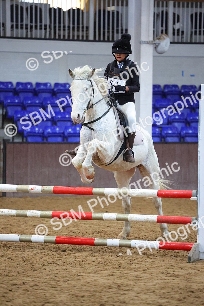 SBM_002104 - Class 5 - Show Jumping 80cm