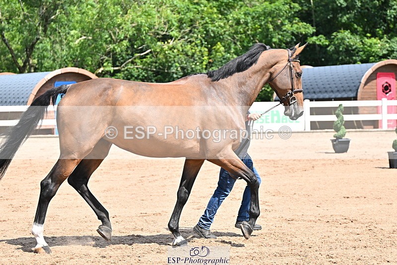 240718A-105242-01056 - Trot Up 11am to 12pm