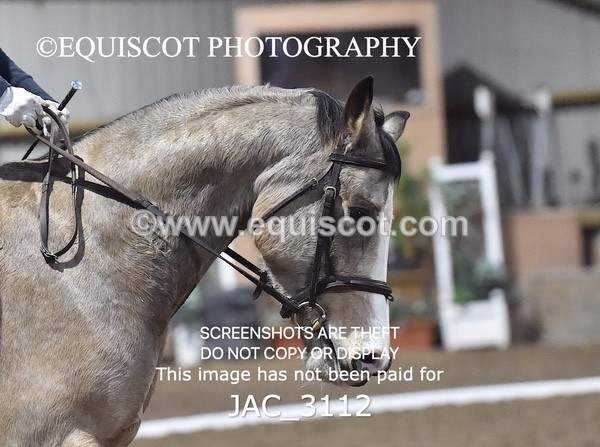 JAC_3112 - CLASS 9 PRELIM 3