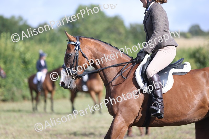 20250831-0927 - Class 14 - Ex Racehorse