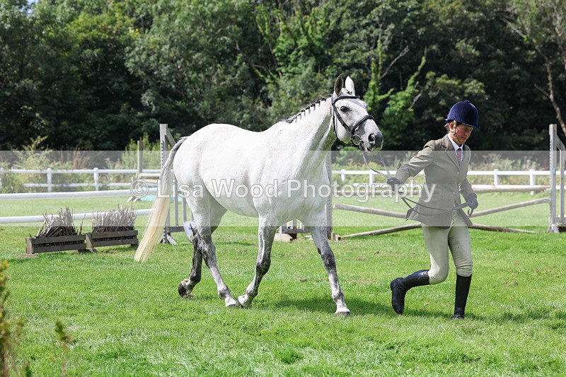 3E7A8800 - Class 5: Working Show Horse