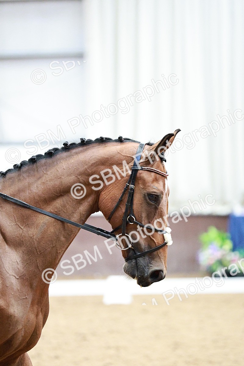 SBM_003318 - Class 8 - Elementary FSM - 15.16-16.04