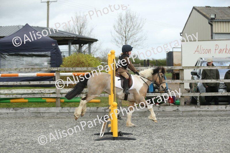 20260412-0642 - Show Jumping