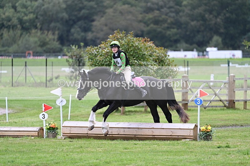 WJ7_8949 - 60cm Time 12:31 to 12:50