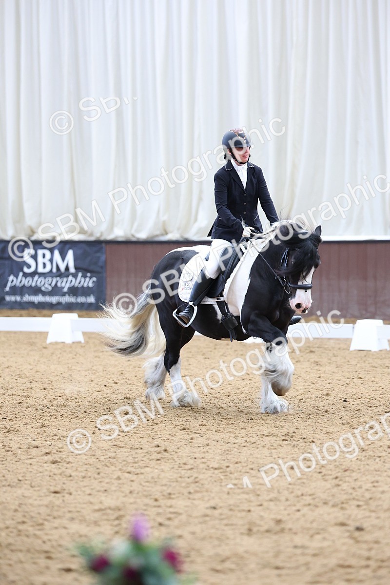 SBM_016008 - Class 15 - Novice FSM - 9.50 - 11.10