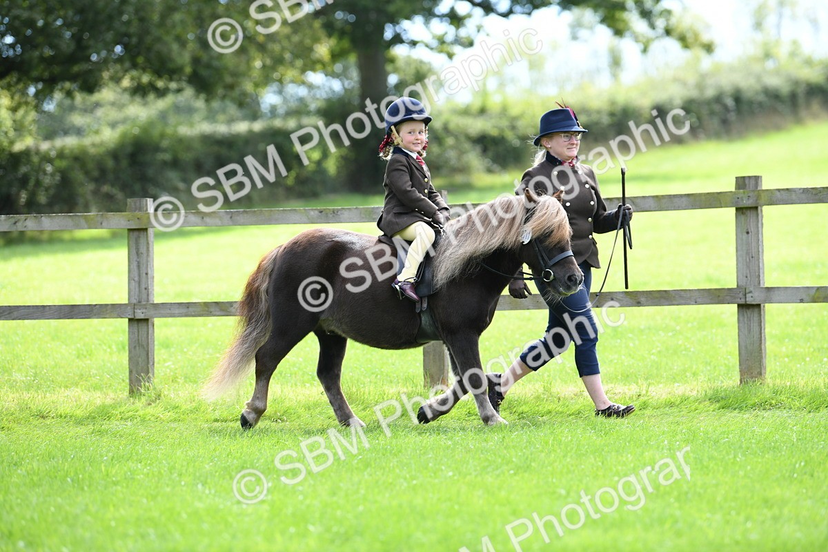 SBM_42508 - S20 - Lead Rein Mountain & Moorland Pony