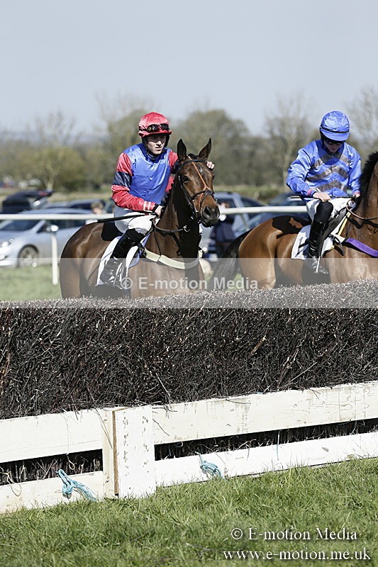 PtP 260317 163 - Mendip Farmers Point-to-Point Ston Easton 26/03/17