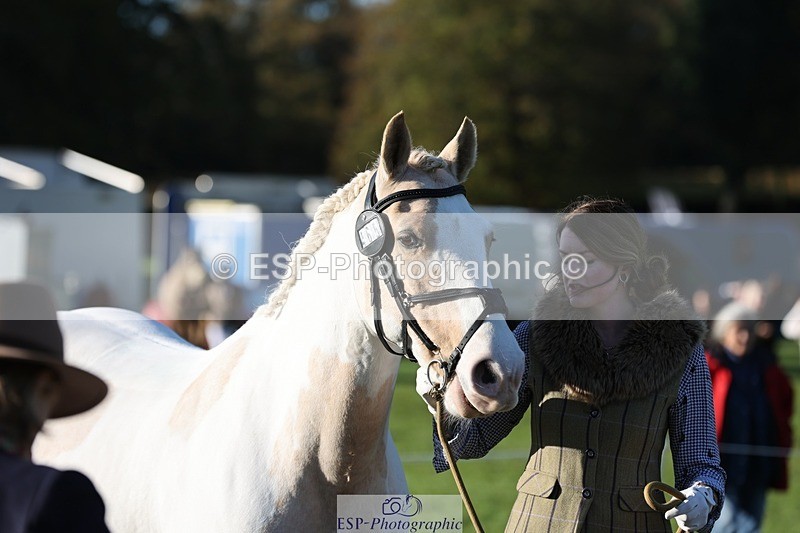 241027-091553-15166 - 465-Clare.Pascoe-MR.QUINN