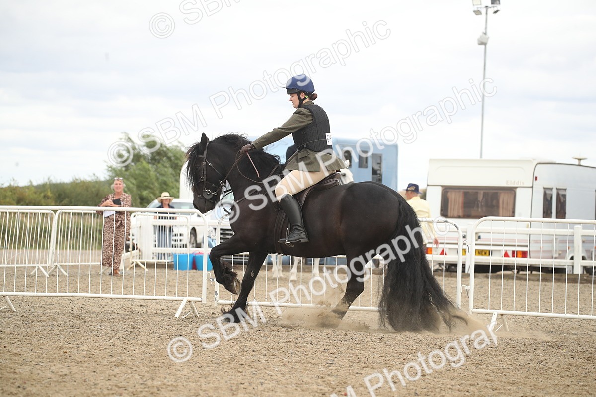 SBM_17714 - Class 508a - Working Veteran 70cm (15-19)