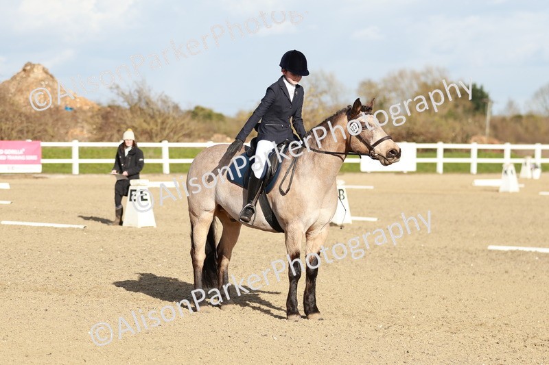 20260314-5389 - DR4 - Prelim 2