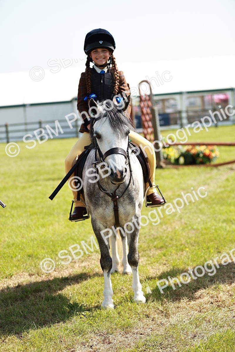 SBM_12816 - Class 106-107 - BSPS LIHS Working Sports Pony