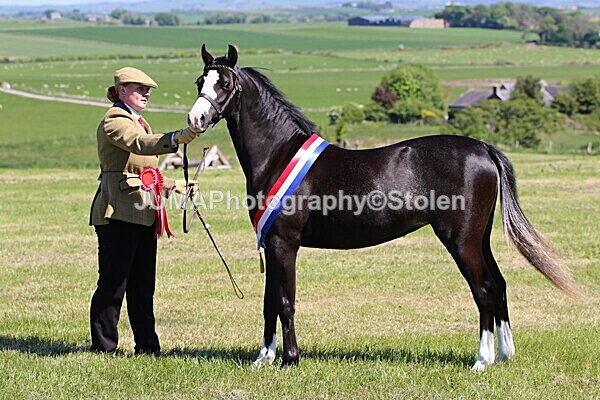 SIAL0476 - Indoor Classes