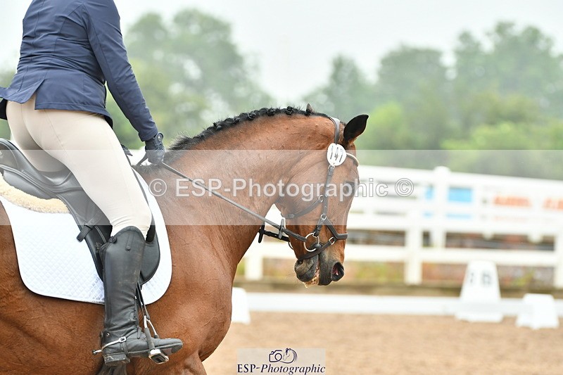 230708A-143308-02939 - Elementary 43