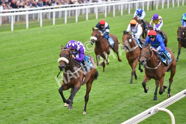 yr22072022r4-40 - Race 4 6.50pm The IRE Incentive It Pays To Buy Irish EBF Restricted Novice Stakes