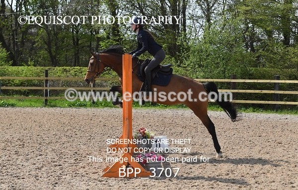 BPP_3707 - CLASS 2 Club/ Unaffiliated 80cms Open