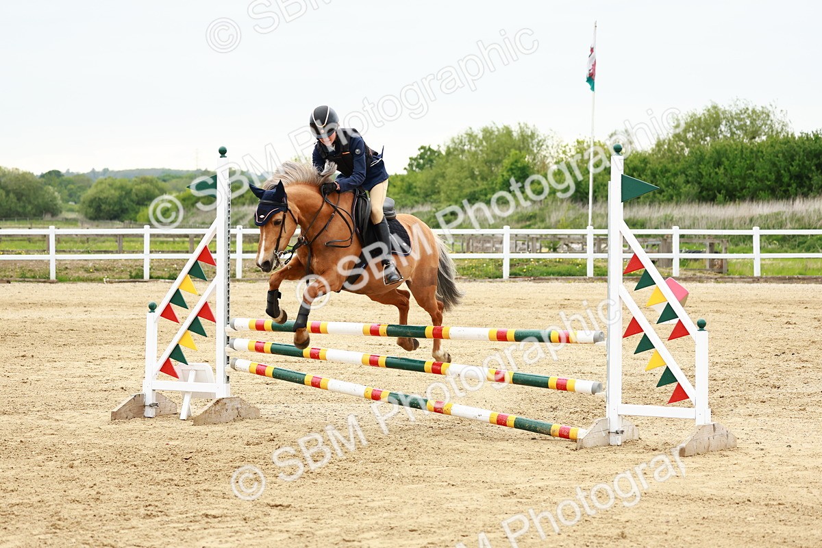 SBM_009112 - Class 5 - 80cm