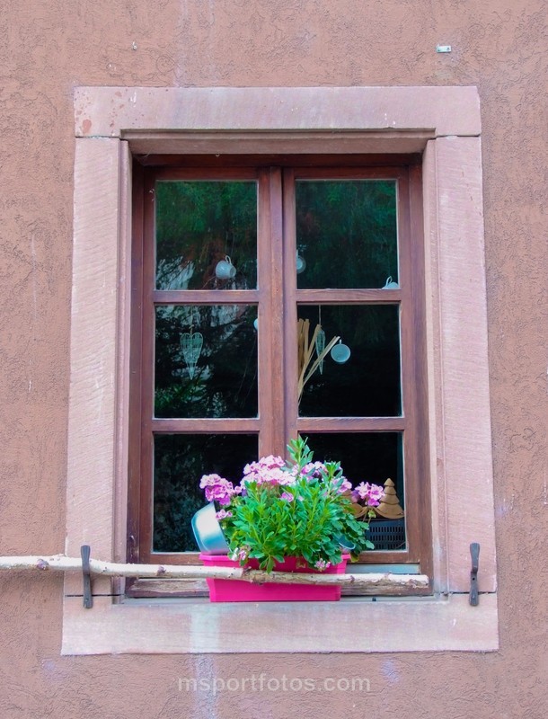 Kayserberg window dressing - Travel, city/land scapes