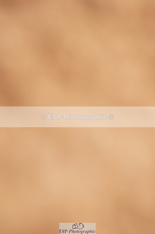 240526A-095442-07232 - Cls 25 National 1.30m Open