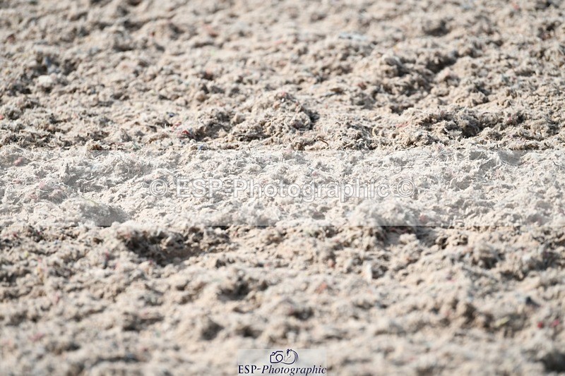 250309-134054-04580 - Cls 27-29 Club and Schools 1m and 1.10m