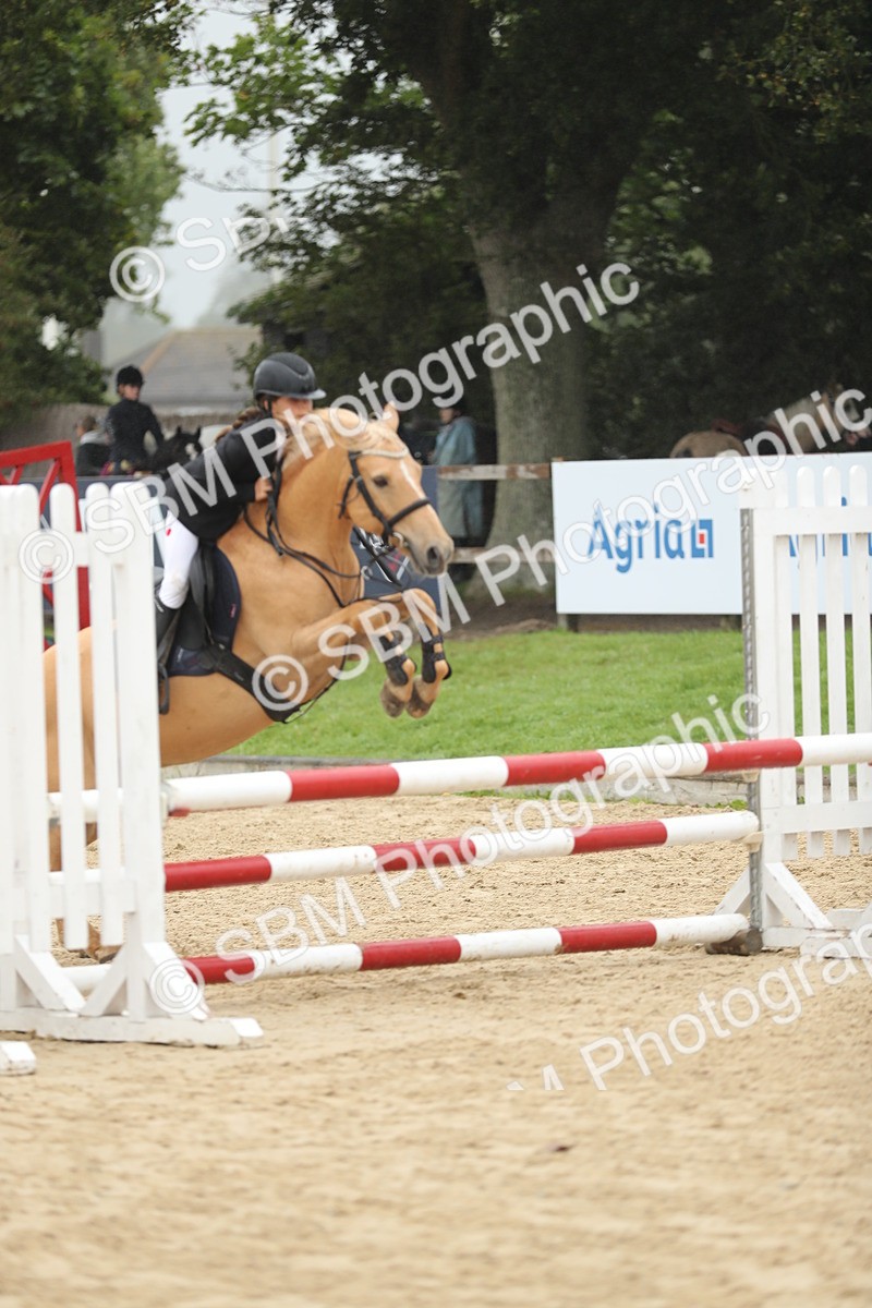 SBM_73698 - J16 - Junior Pony 75cm Championship