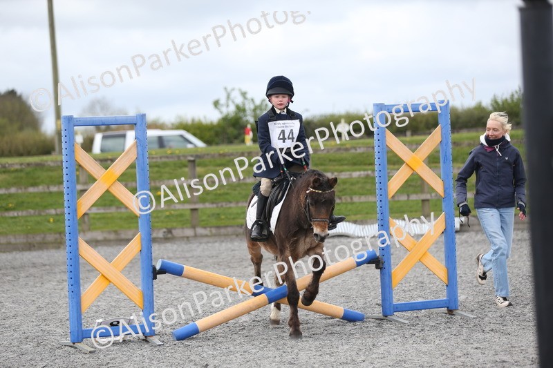 20260412-0563 - Show Jumping