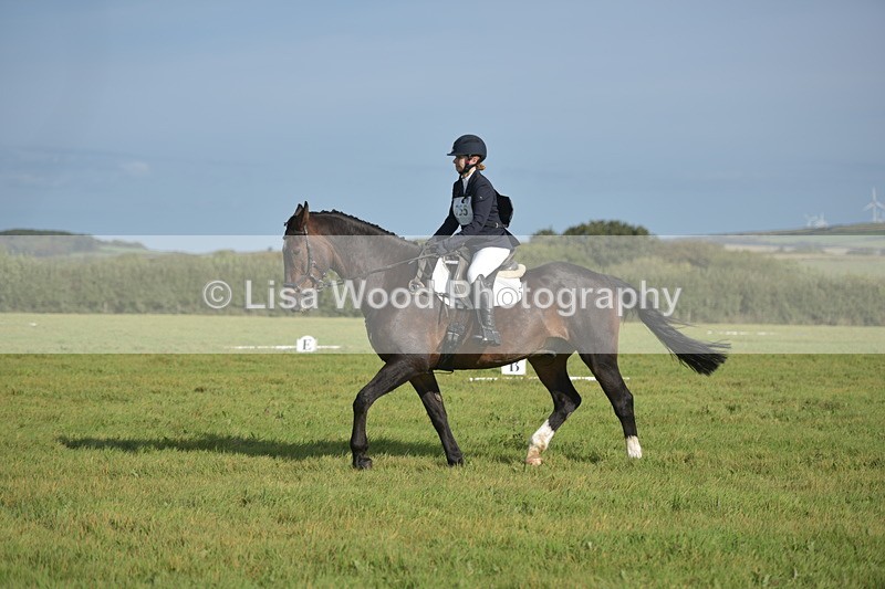 RAY_7479 - Class 2B: Trekenning Open: Dressage