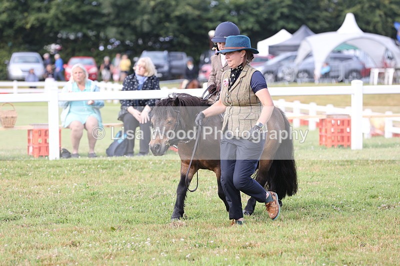 JPP_0422 - Class 14: Cornish Combination Leading Rein