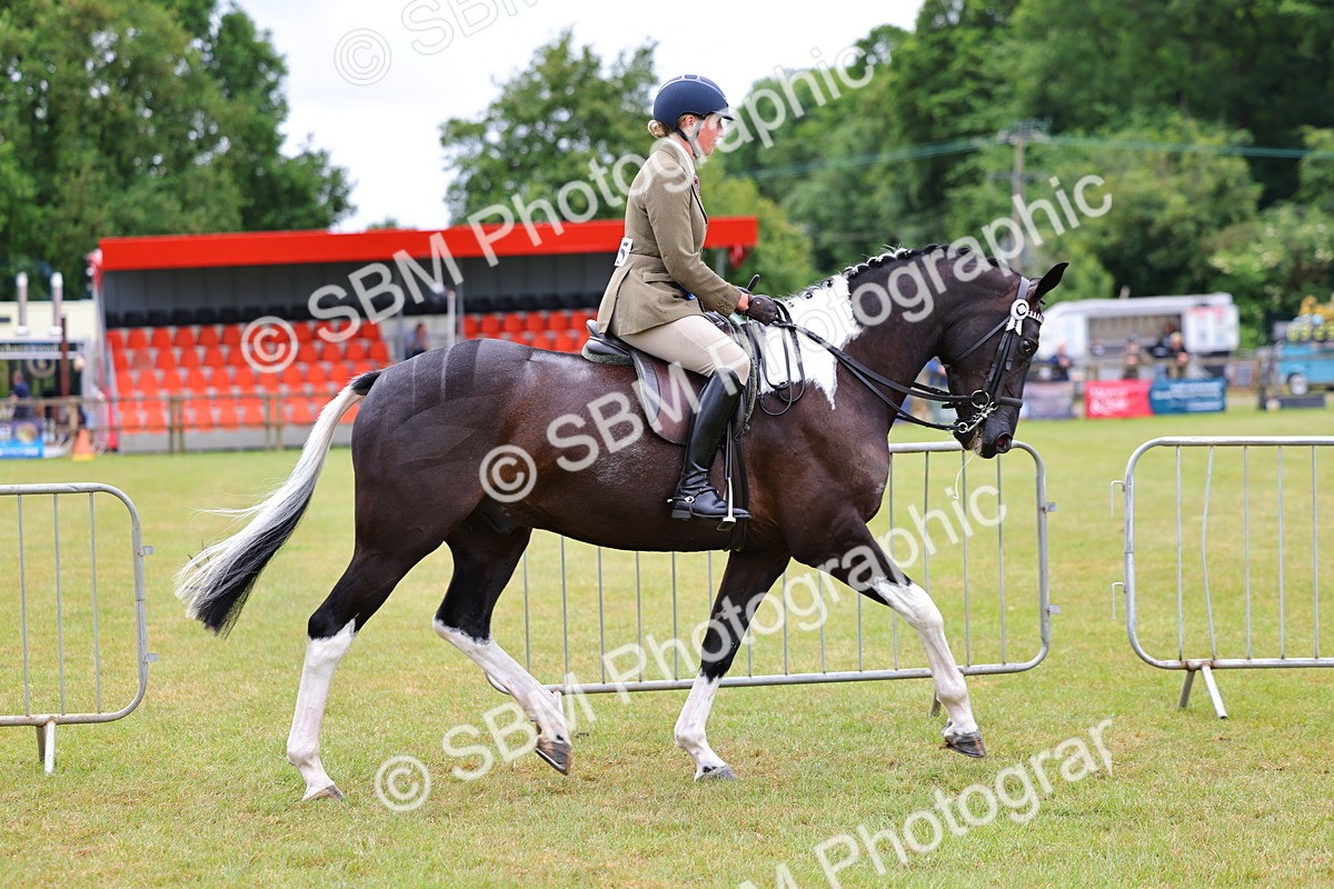 SBM_02599 - Class 9-11 Side Saddle including LIHS Rising Star Ladies Show Horse