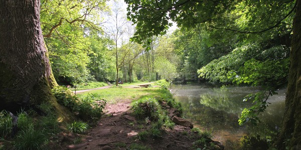  - Panoramas