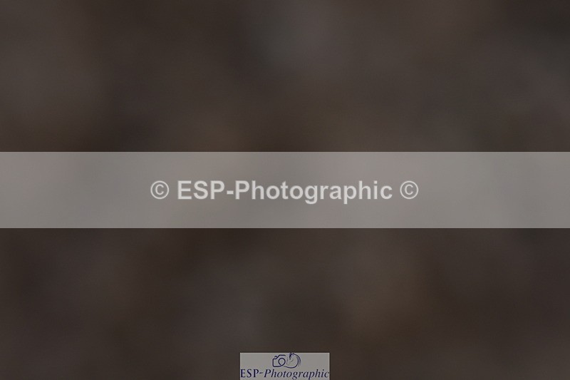 240107A-123149-01581 - UnAff Prelim 14