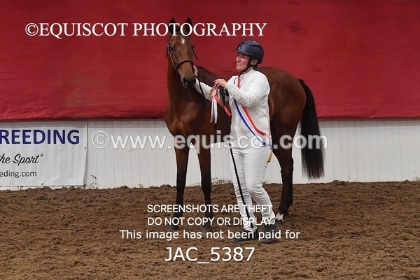 JAC_5387 - 7 L'Espirits Little Unicorn
