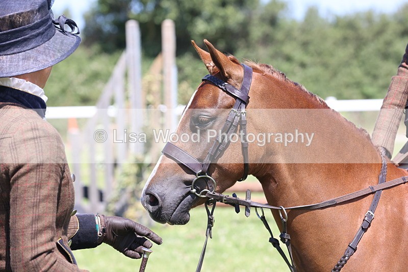 JPP_2172 - Class 20: Tiny Tots Working Hunter Pony