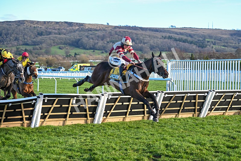 141224-Race 1-Quantock Hills-1107 - Race 1