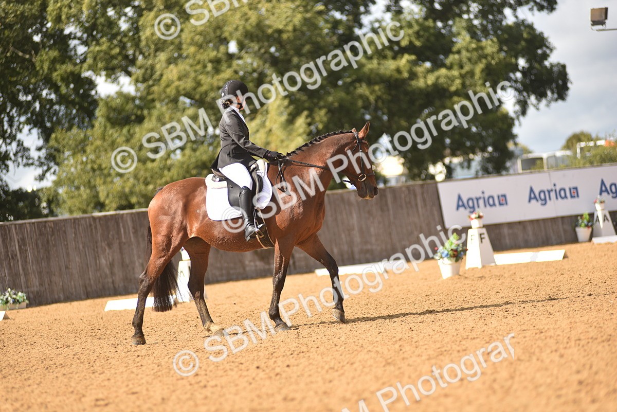 SBM_48733 - D22 - Junior Championship Intro 3