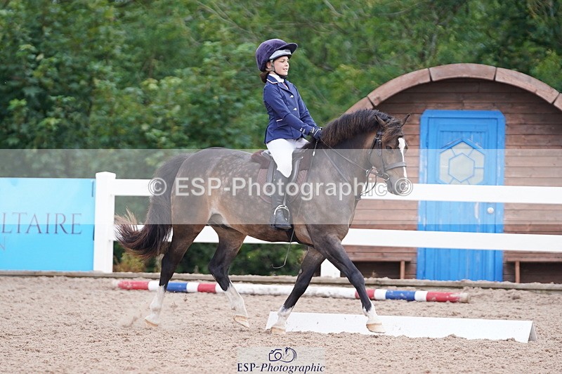 240809A-095918-00383 - Dressage Competition