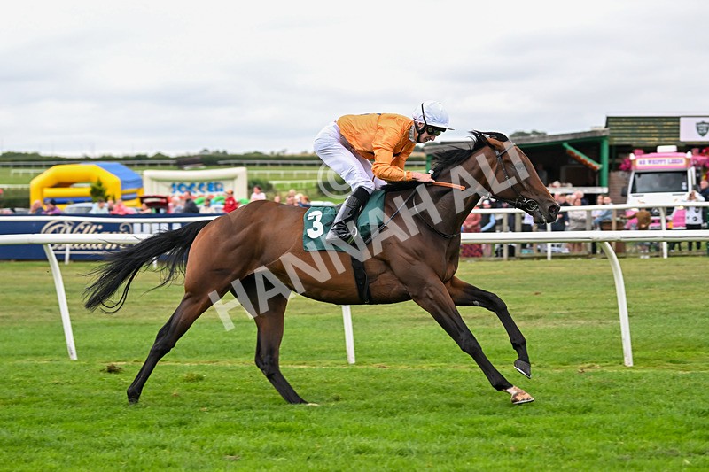 180825-Race 4-Alther Walden-8741 - Race 4