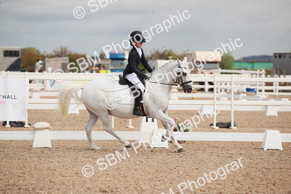 SBM_03987 - Class 31 - Prelim 1