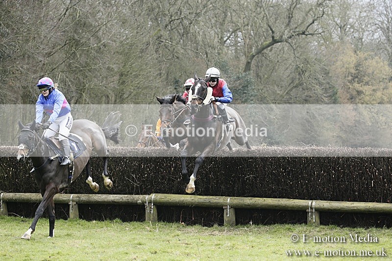 PtP 110318 116 - Hampshire Hunt Point-to-Point Hackwood Park 11/03/18