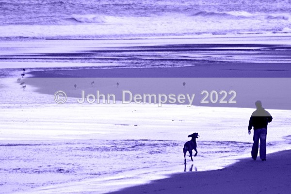 Billy  & Meeko 4 - Walking the Dog