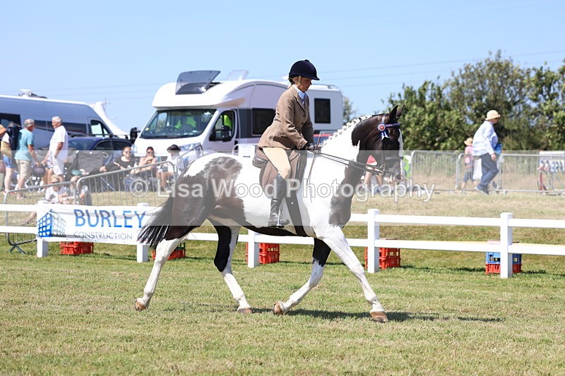 3E7A7696 - Class 7: Open Riding Horse